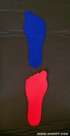 foot print