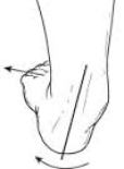 foot sketch